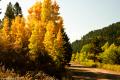Colorado Fall Colors-4300.jpg